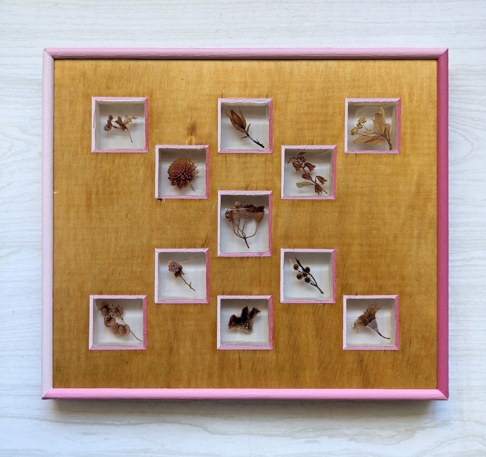Pink Things — Wood, acrylic, resin, organic materials.